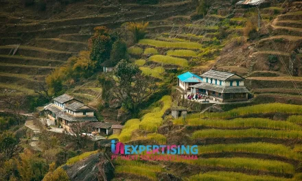 Penginapan Murah di Batu Malang dengan Pemandangan Alam yang Memukau