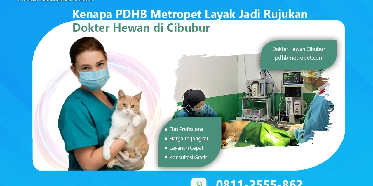 Kenapa PDHB Metropet Layak Jadi Rujukan Dokter Hewan di Cibubur