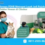 Kenapa PDHB Metropet Layak Jadi Rujukan Dokter Hewan di Cibubur