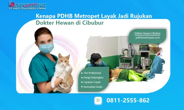 Kenapa PDHB Metropet Layak Jadi Rujukan Dokter Hewan di Cibubur