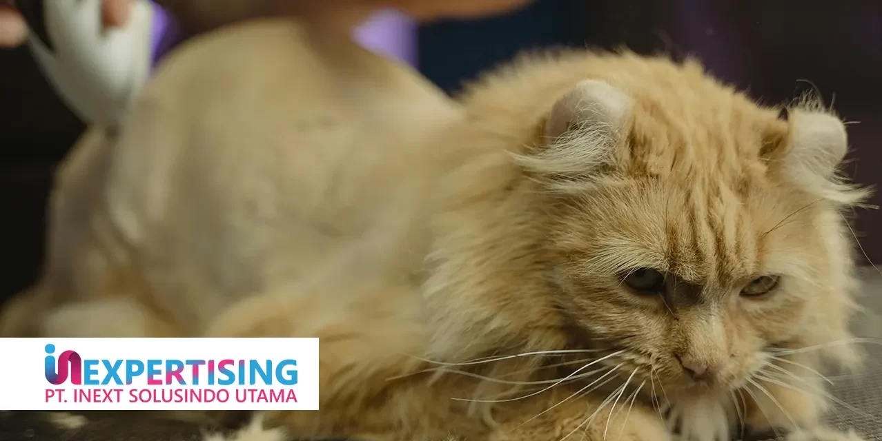 Tempat Perawatan Hewan Terbaik di Cibubur yang Wajib Anda Coba
