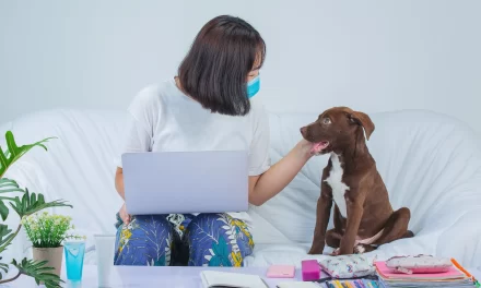 Peran Penting Klinik Hewan dalam Kesehatan Peliharaan