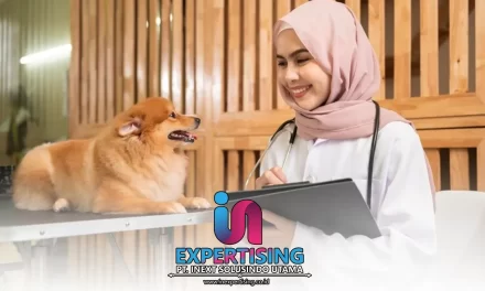 Panduan Memilih Klinik Hewan dengan Fasilitas Lengkap di Daerah Cibubur
